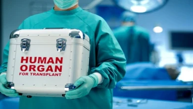 Azərbaycanda sümük iliyi köçürülməsini həyata keçirəcək tibb müəssisələrinin sayı artıb